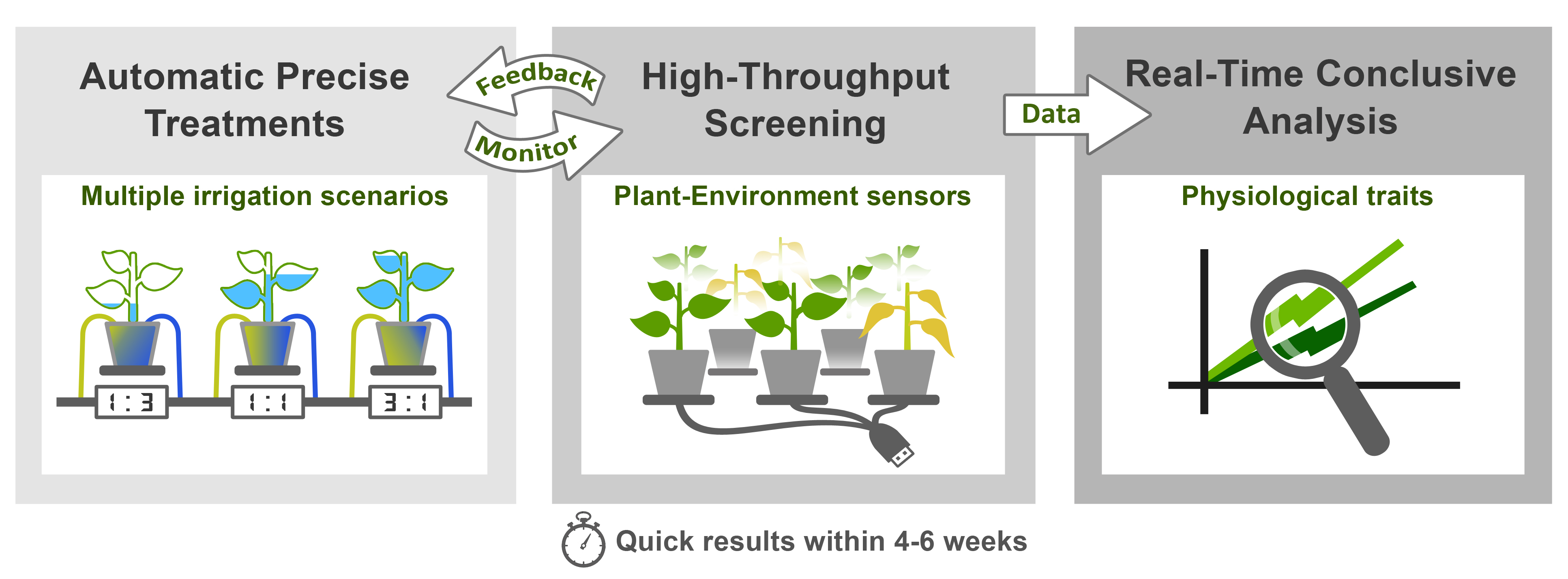 First in Functional Phenotyping