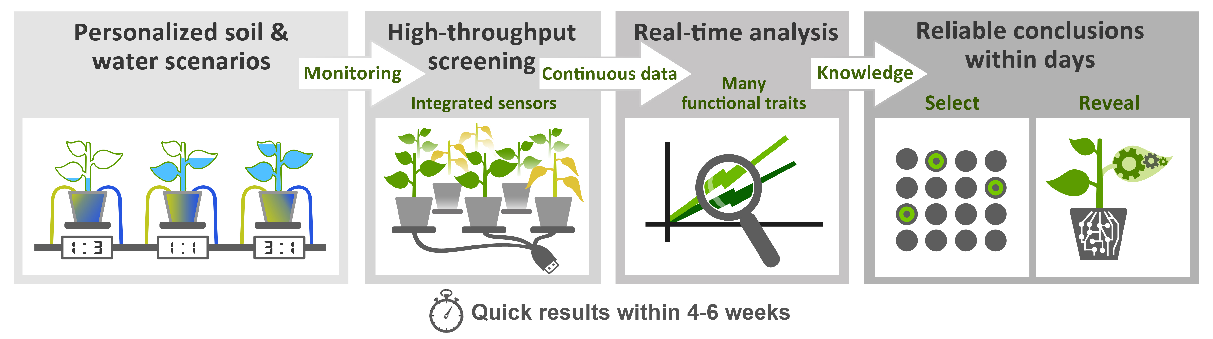 First in Functional Phenotyping