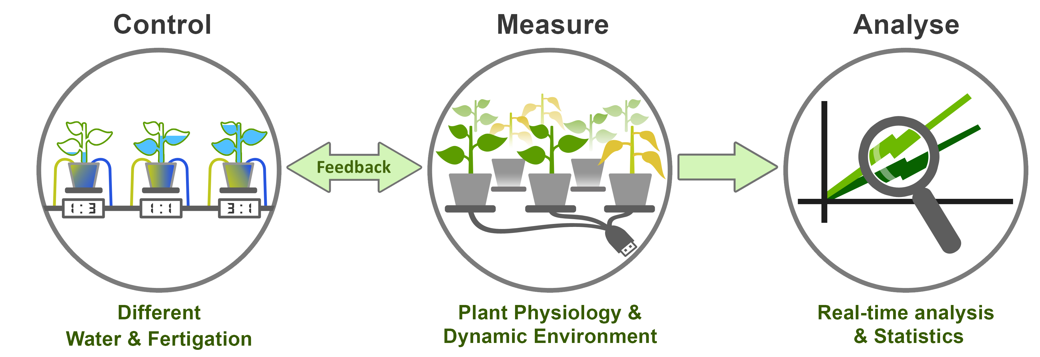 First in Functional Phenotyping