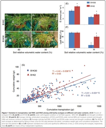 Wild Barley Genetic Variation Involved in Adaptation