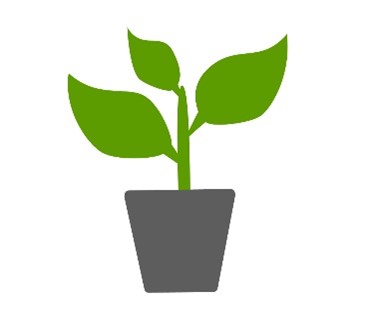 Plant 13