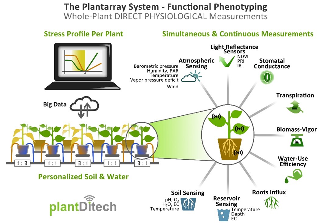 Why the PlantArray system is the best physiological phenotyping screening platform