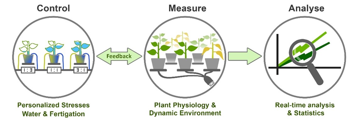 effective PlantArray system
