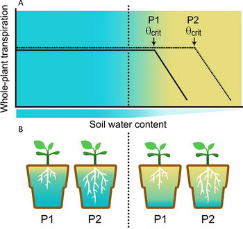 Figure 1. Drought Point Detection model