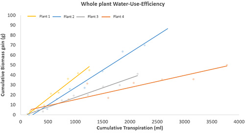 The linear relationship between biomass gain and transpiration of different introgression lines of tomato (Solanum lycopersicum). The slope of the lines indicates the whole plant water-use efficiency.
