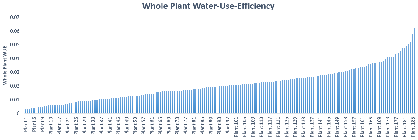 Ranked distribution of tomato introgression lines whole-plant water-use-efficiency (WUE) reveals the wide variation in the population.