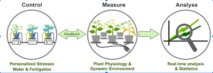 How can the PlantArray system effectively identify the optimal drought-tolerant plant? 