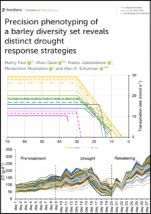 high-throughput phenotyping
