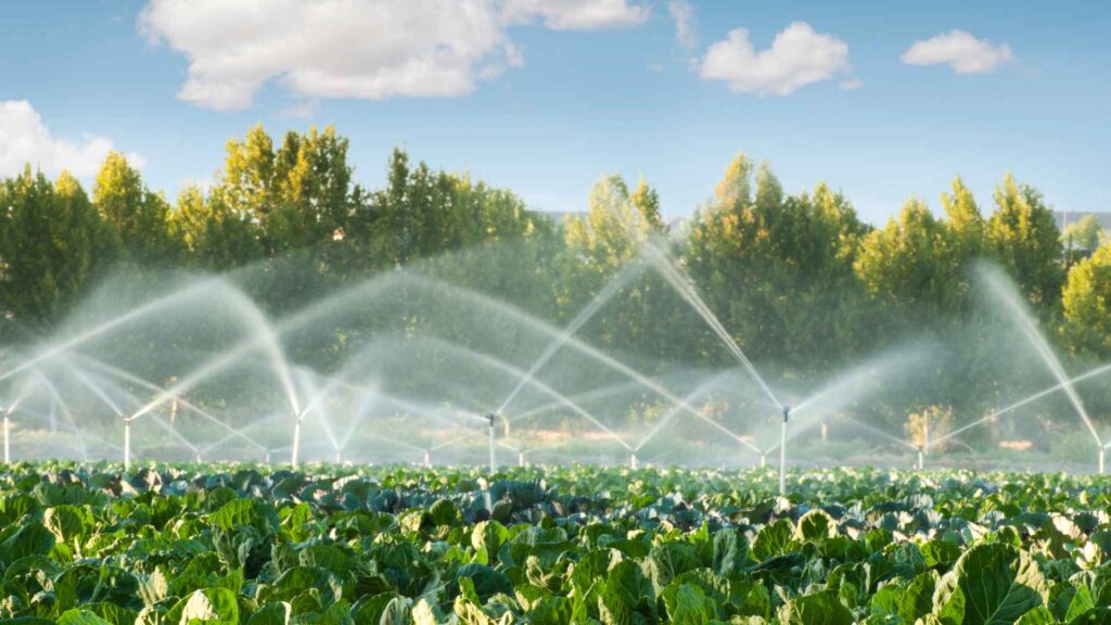 Plant Monitoring Systems