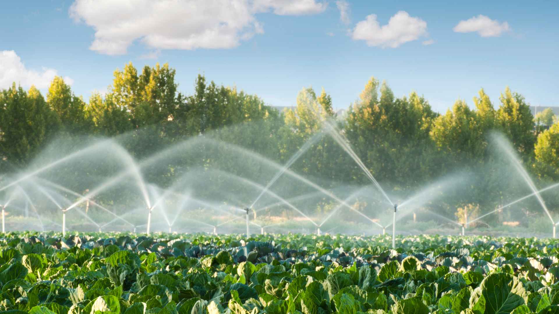 Plant Monitoring Systems