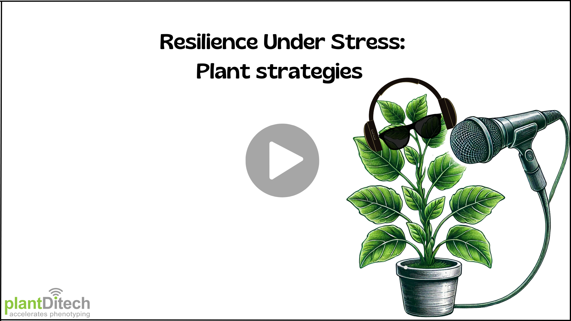6 - Survival Genetic Code - Forest trees under drought