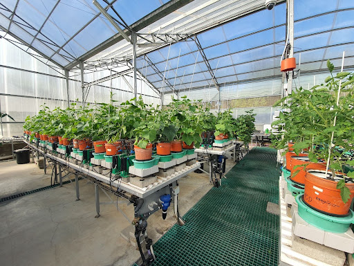 Automated Phenotyping Reduce Research Costs