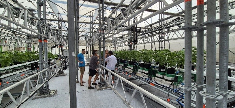 User-friendly phenotyping solutions