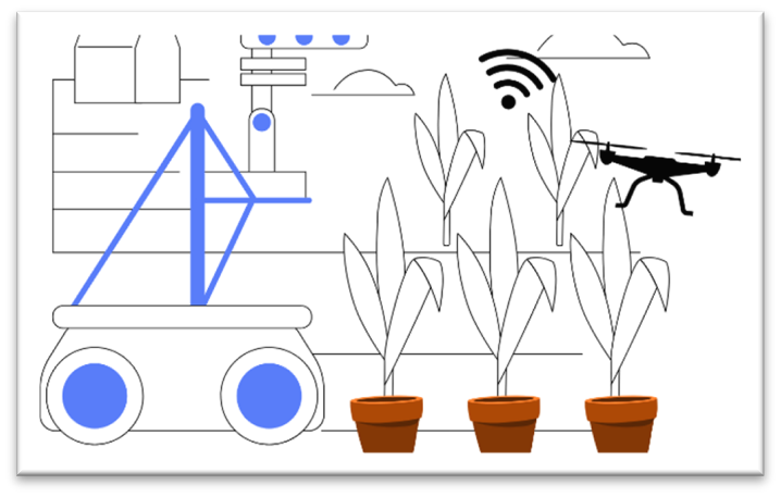 user-friendly phenotyping solution vs complex systems