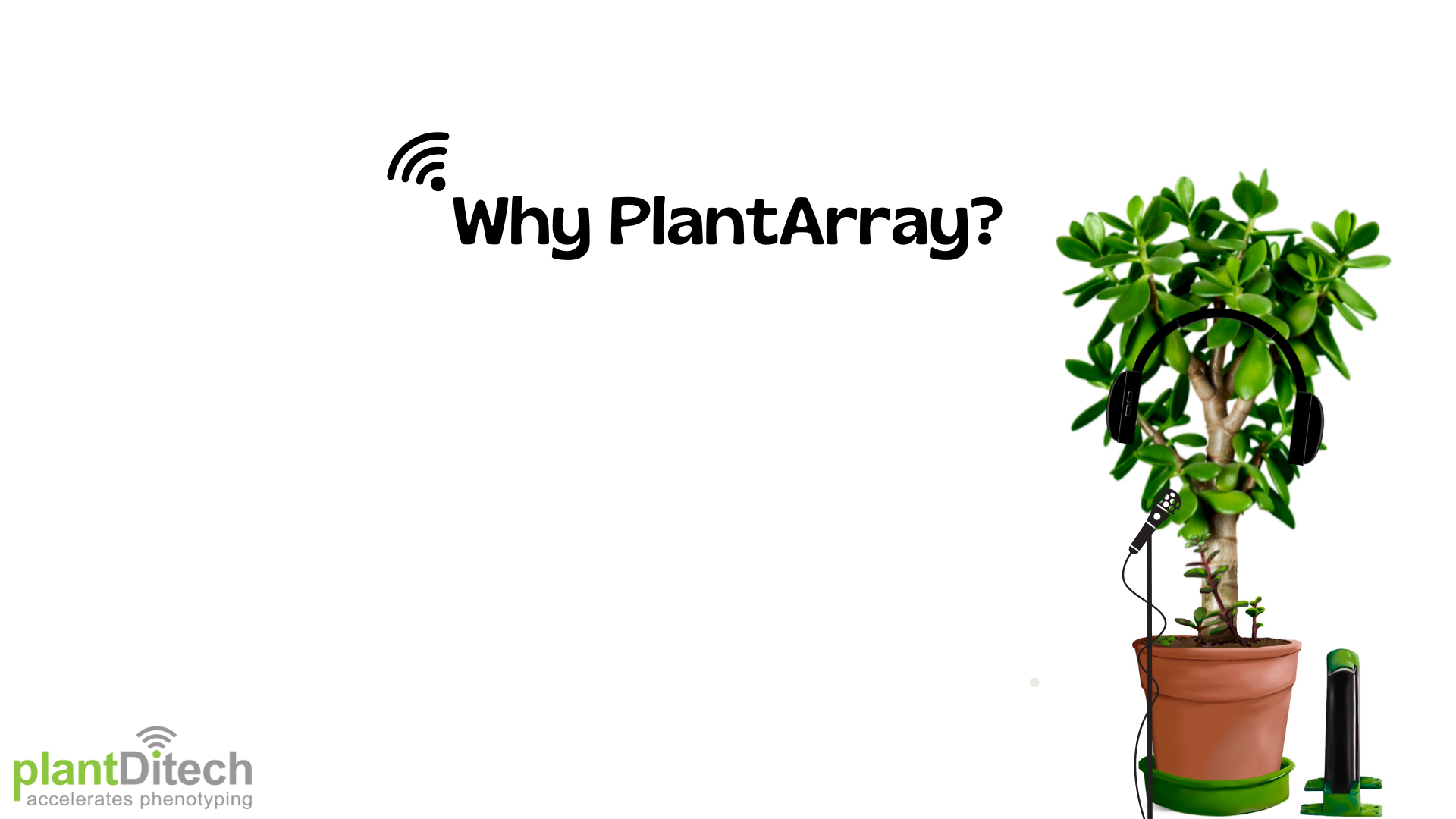 8 - Cracking the Code of Plant Resilience in Tomatoes