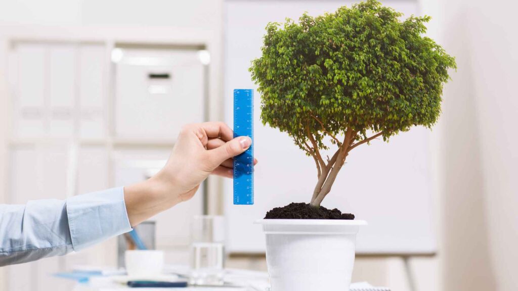Plant Phenomics Measurment