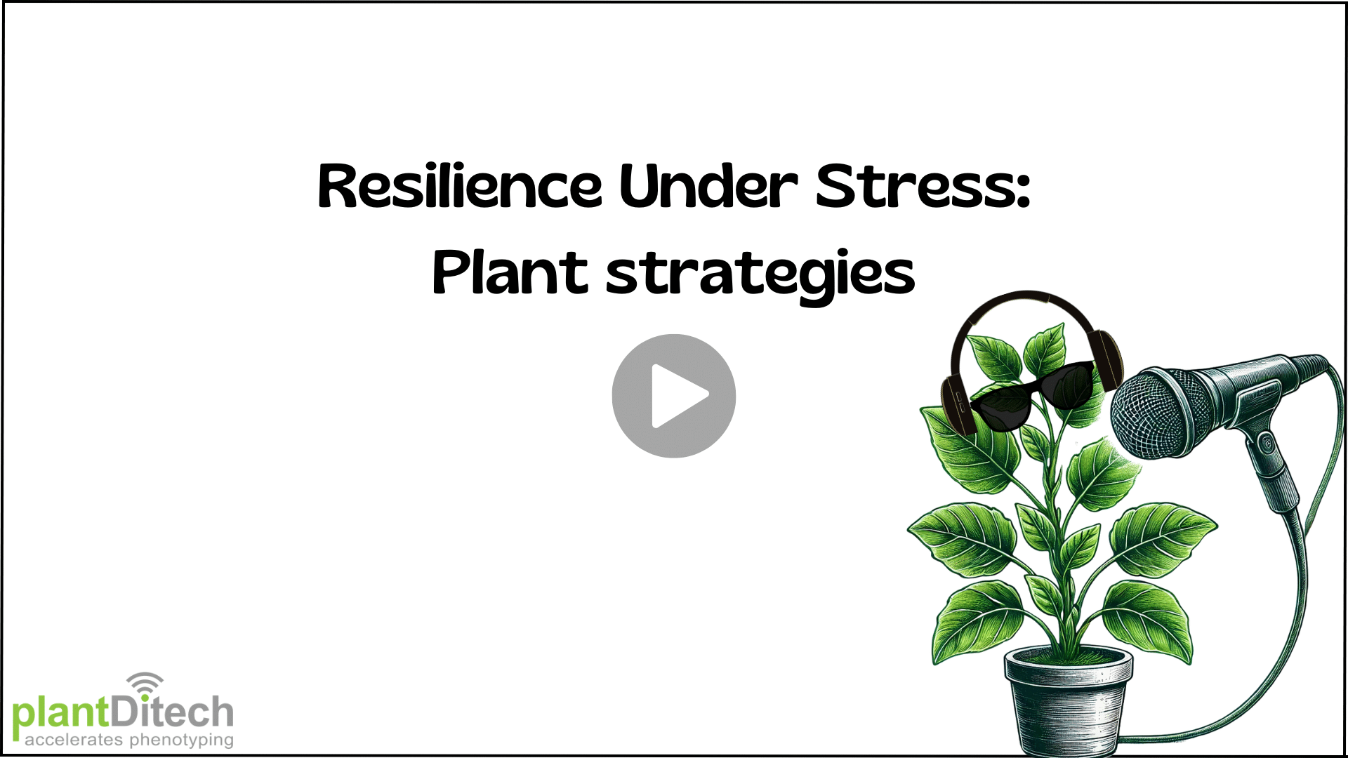 10 - Leaf Spectral Reflectance as Indicator of Pepper Root Rot 