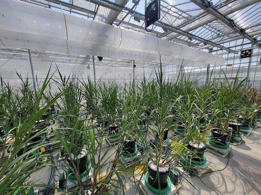 High-Throughput Functional Performance Analysis 